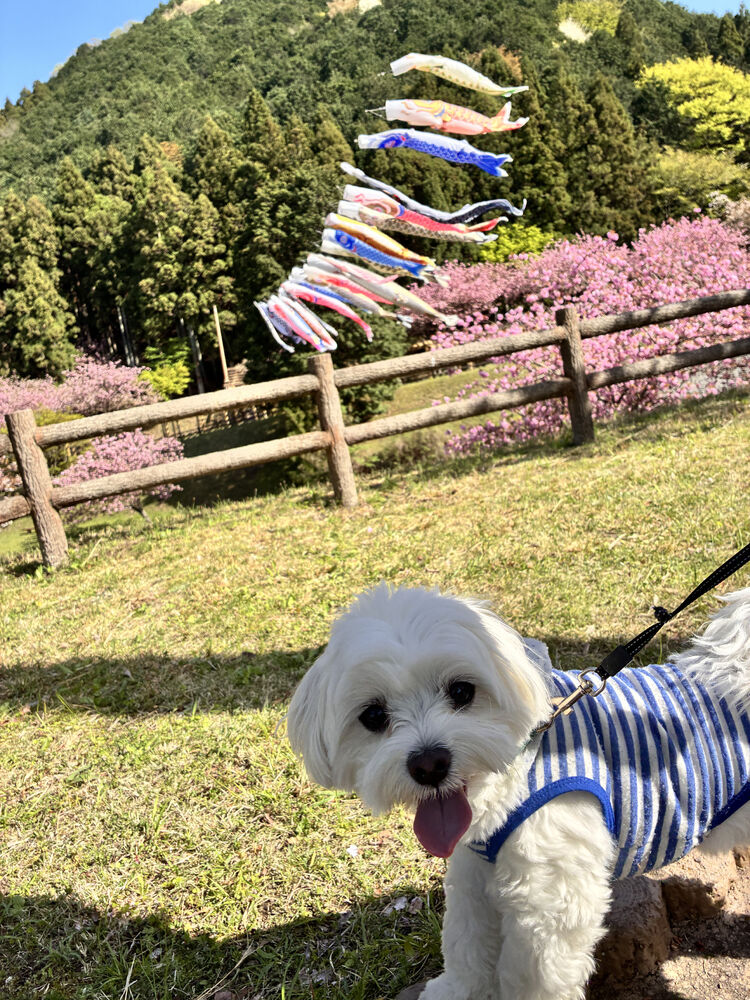 ブログ画像